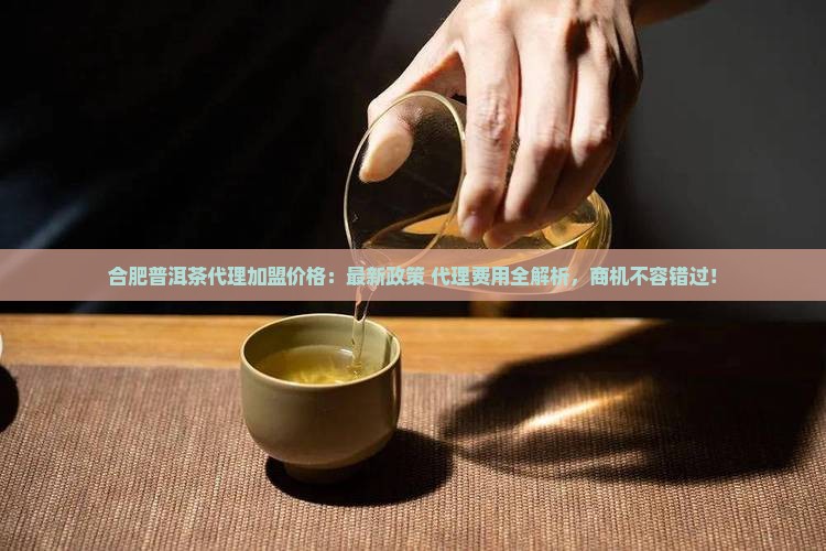合肥普洱茶代理加盟价格