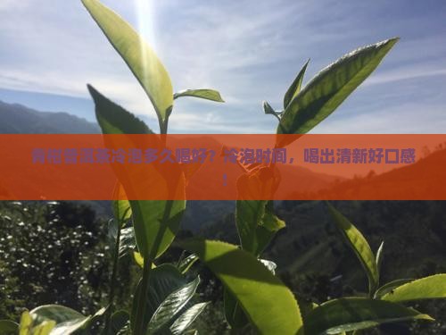 青柑普洱茶冷泡多久喝好