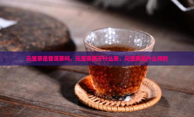 元宝茶是普洱茶吗