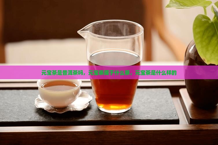 元宝茶是普洱茶吗