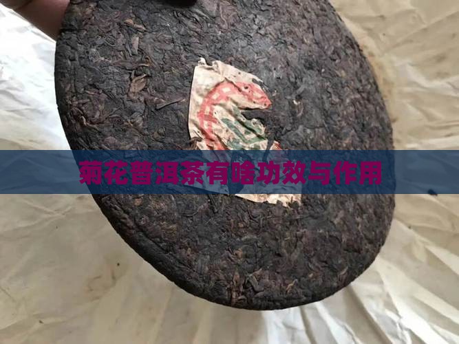 菊花普洱茶有啥功效与作用
