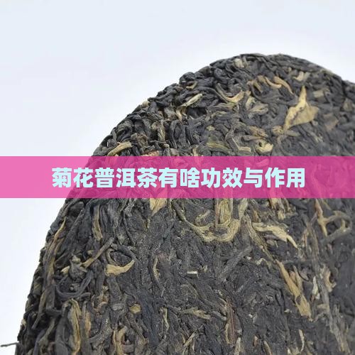 菊花普洱茶有啥功效与作用