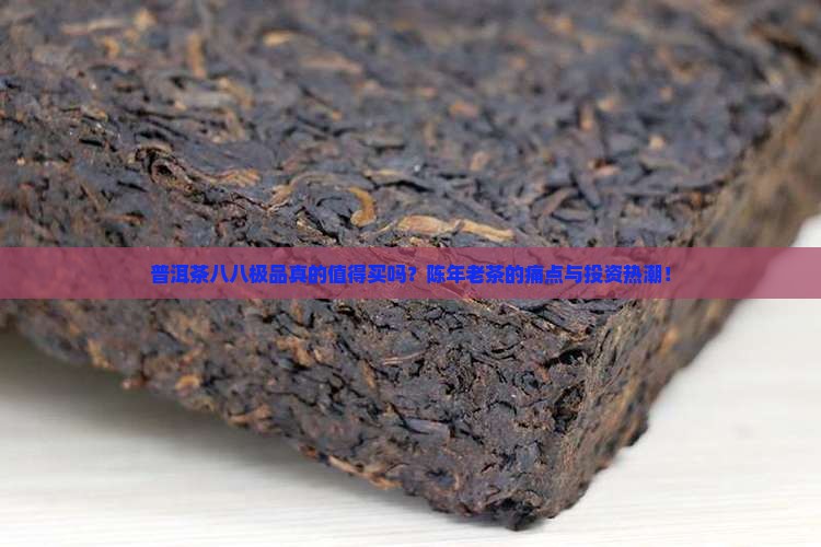 普洱茶八八极品