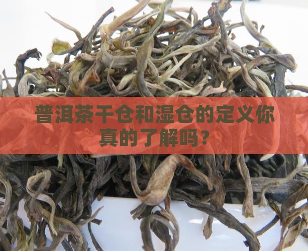普洱茶干仓和湿仓的定义