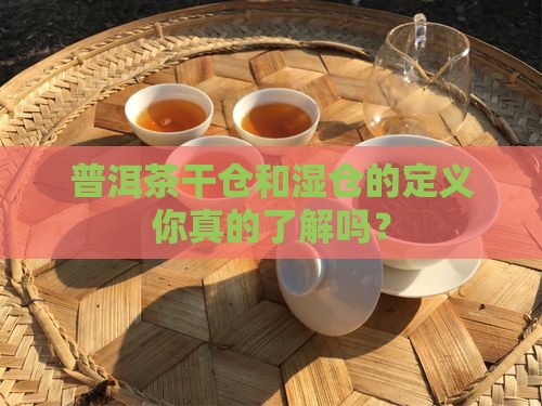 普洱茶干仓和湿仓的定义