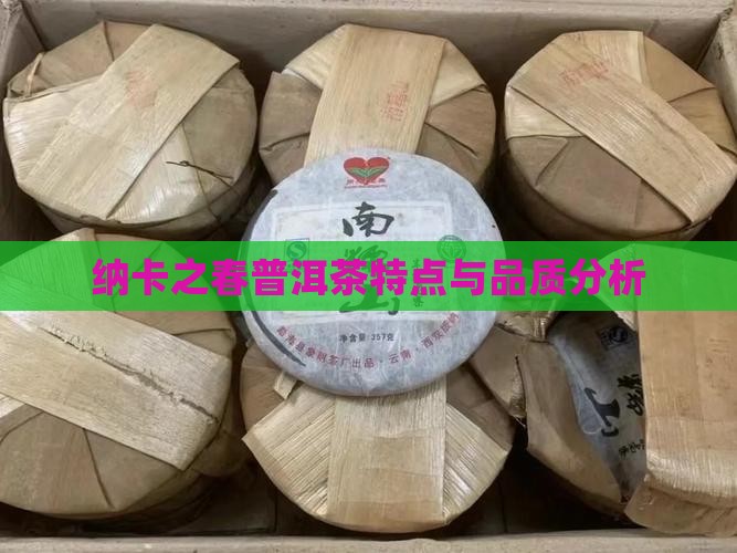 纳卡之春普洱茶