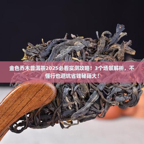 金色乔木普洱茶