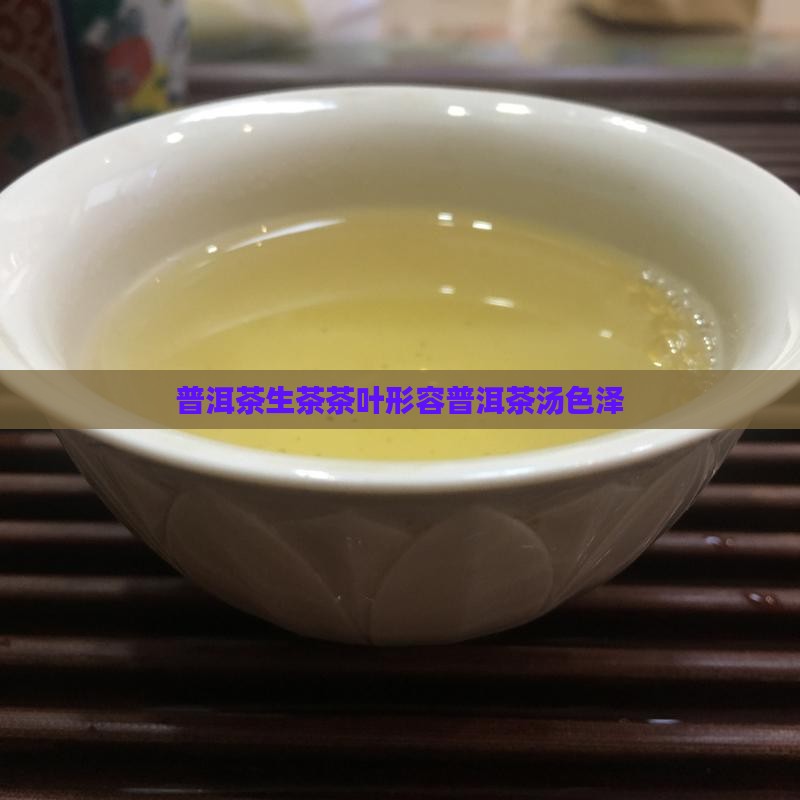 普洱茶生普茶叶汤色的形容