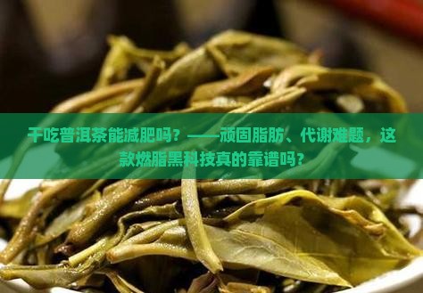 干吃普洱茶能减肥吗