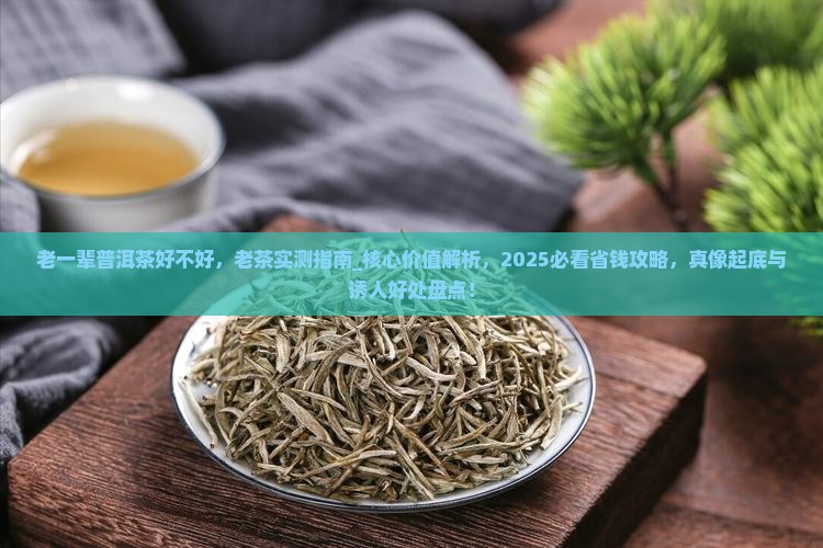老一辈普洱茶好不好