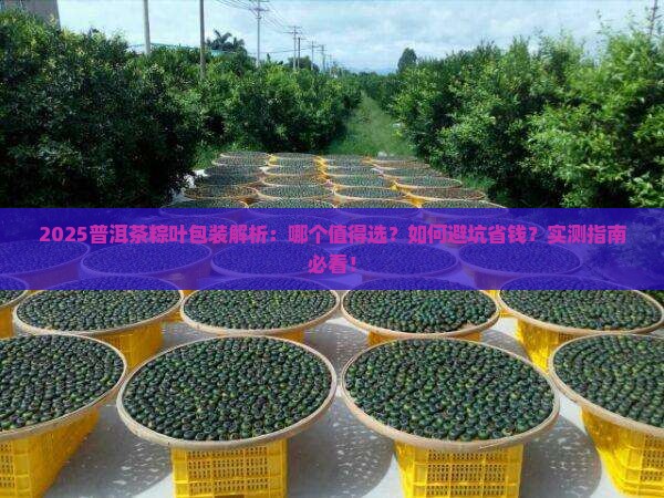 普洱茶粽叶包装是什么品牌