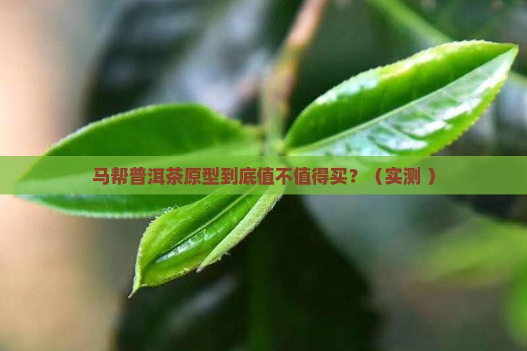 马帮普洱茶原型