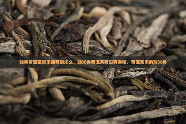 糯香普洱茶是里面有糯米么