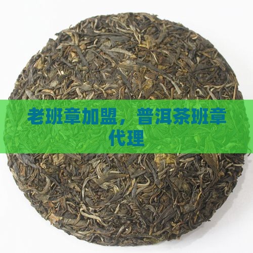 防城港老班章品牌代理