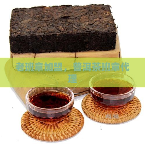 防城港老班章品牌代理