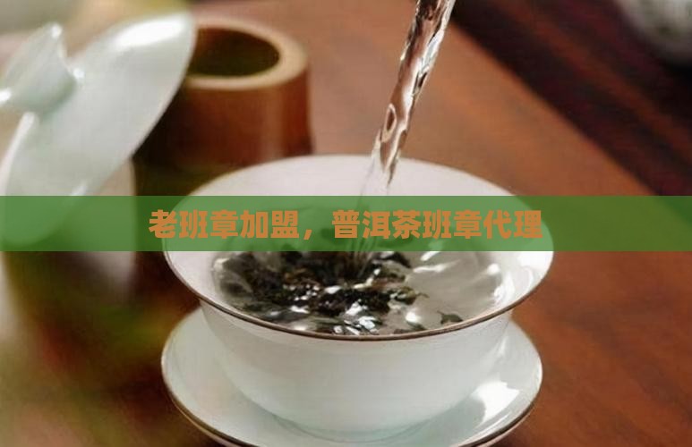 防城港老班章品牌代理