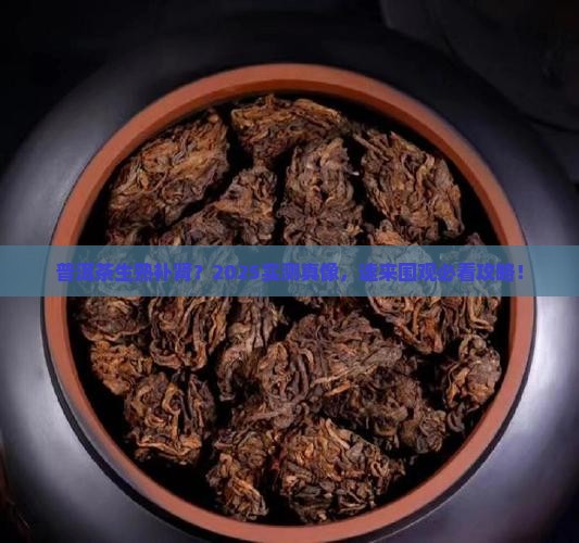 普洱茶生熟都能补肾吗