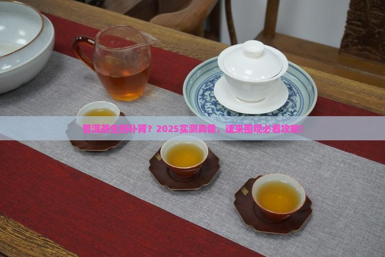 普洱茶生熟都能补肾吗