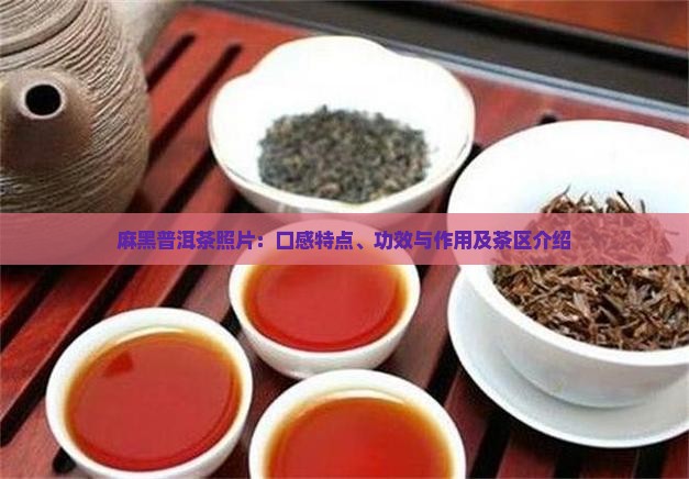 麻黑普洱茶照片