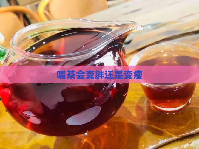 喝茶会变胖还是变瘦