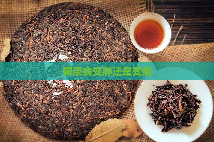 喝茶会变胖还是变瘦