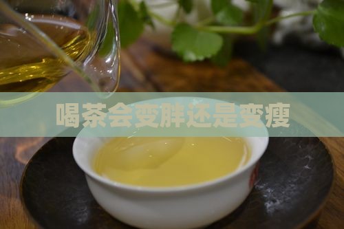 喝茶会变胖还是变瘦