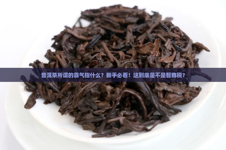 普洱茶所谓的霸气指什么