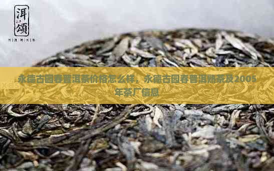 永德古园春普洱茶