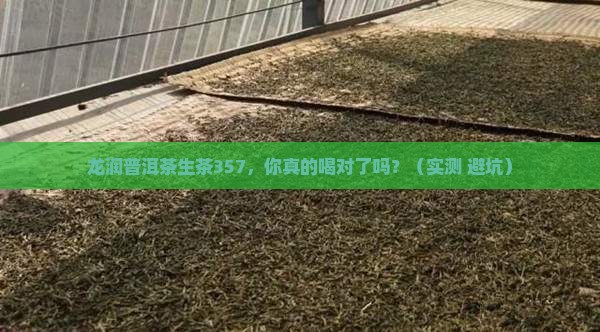 龙润普洱茶生茶357 龙润普洱茶生茶357