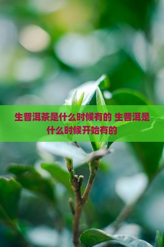 生普洱茶是什么时候有的