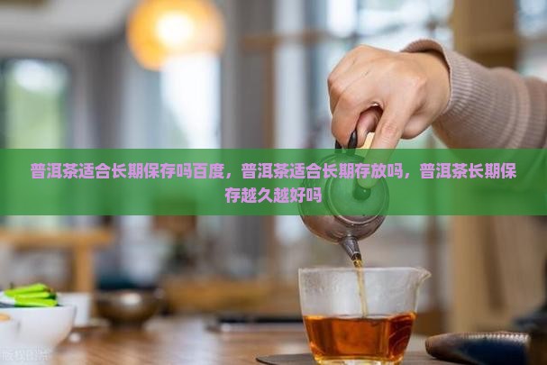 普洱茶适合长期保存吗百度