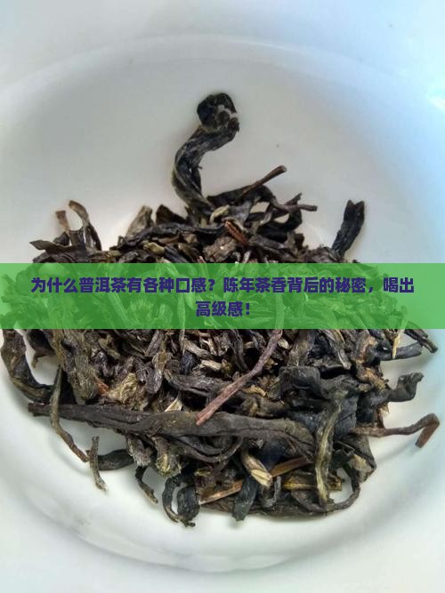为什么普洱茶有各种口感
