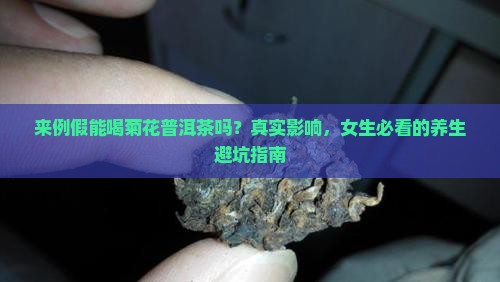 来例假能喝菊花普洱茶吗