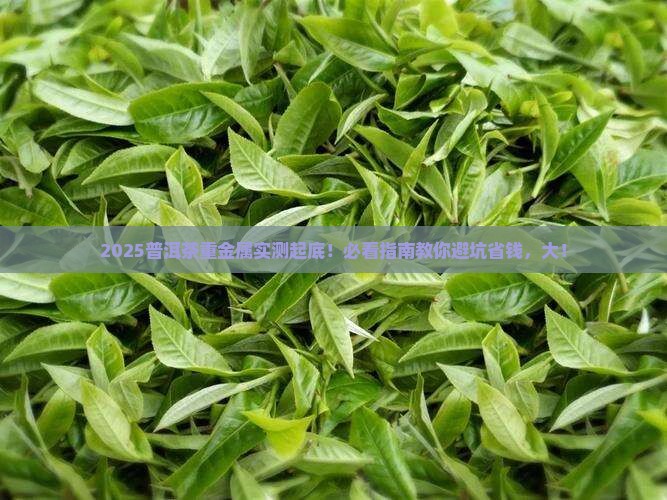 普洱茶重金属检测