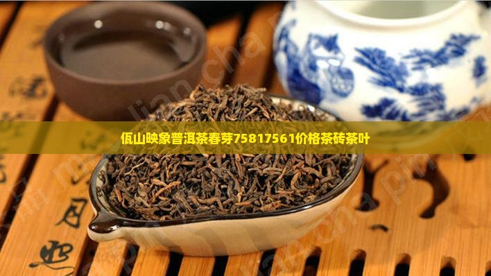 佤山映象普洱茶春芽