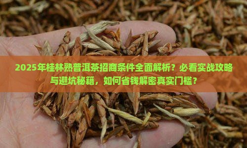 桂林熟普洱茶招商条件