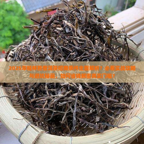 桂林熟普洱茶招商条件