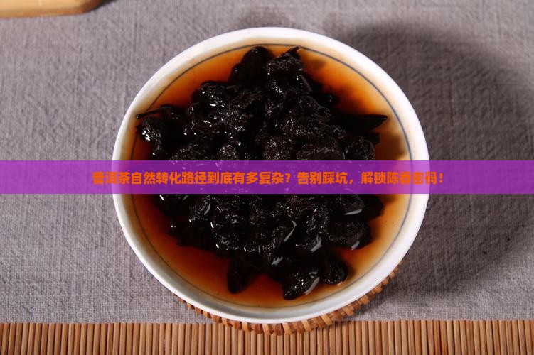 普洱茶自然转化路径
