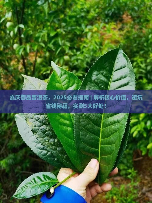 嘉庆御品普洱茶