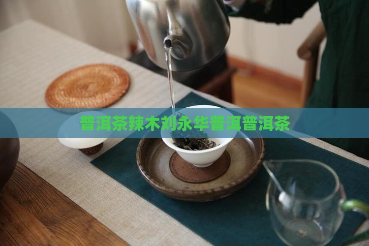 普洱茶辣木刘永华