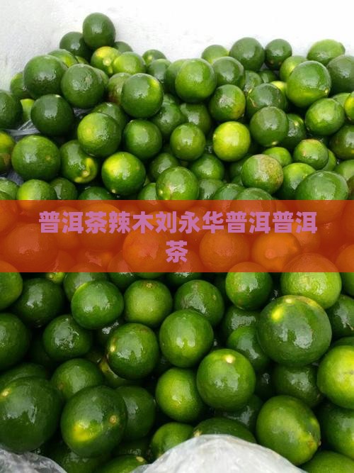 普洱茶辣木刘永华