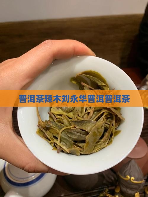 普洱茶辣木刘永华