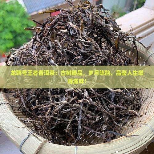 龙聘号王者普洱茶