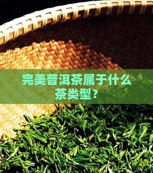 完美普洱茶属于什么茶类型