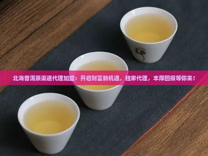 北海普洱茶渠道代理加盟