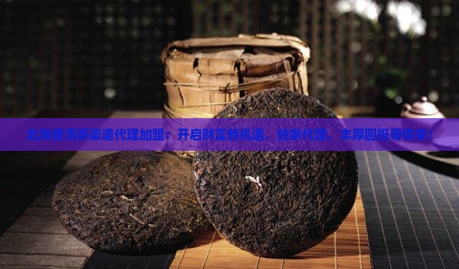 北海普洱茶渠道代理加盟
