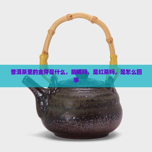 普洱茶里的金芽