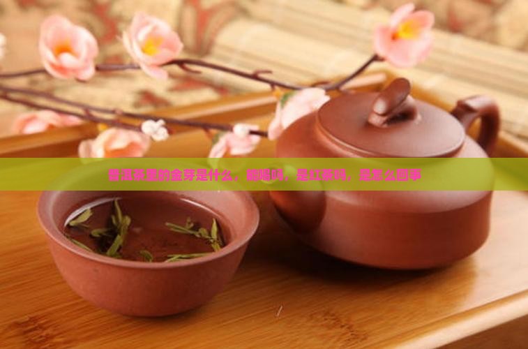普洱茶里的金芽