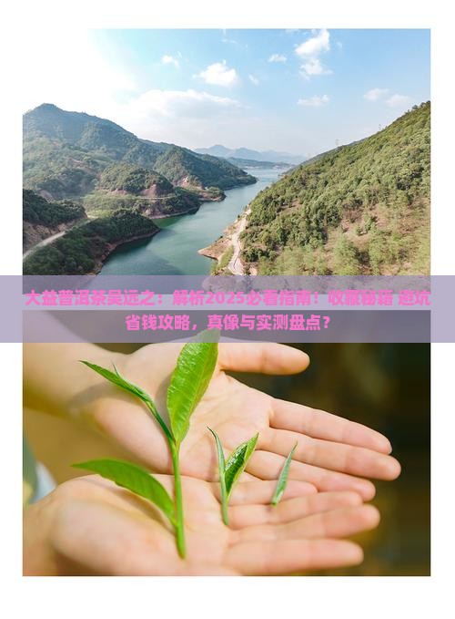 大益普洱茶吴远之