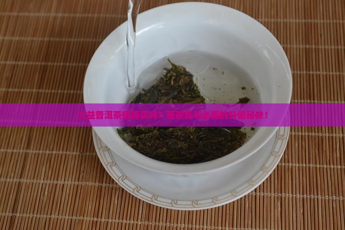 大益普洱茶的购买藏价值